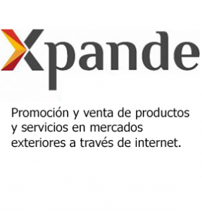 Ayudas-y-subvenciones-1-287×300-2