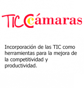 Ayudas-y-subvenciones-TIC-camaras-287×300-1