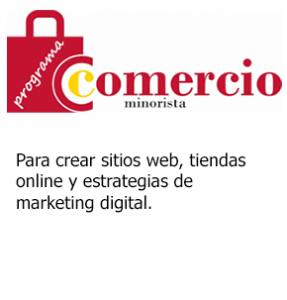 Ayudas-y-subvenciones-comercio-minorista-287×300-1