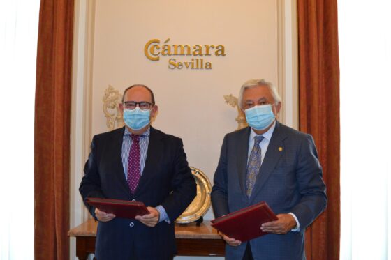 Apoyo a las empresas del sector comercial y de servicios