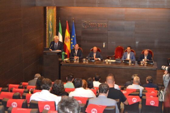 Ayuntamientos de la provincia se adhieren a TODA SEVILLA