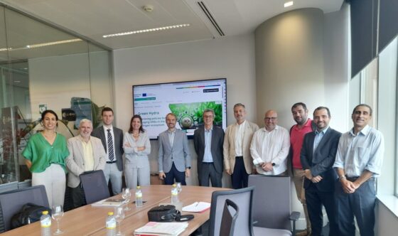 Implantación y uso del hidrógeno verde entre las PYMES
