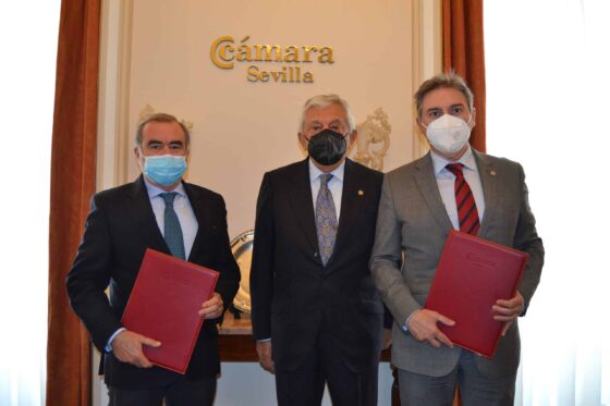 Mediación y Arbitraje para la resolución de conflictos