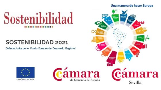 Nuevo Programa de Sostenibilidad para Pymes