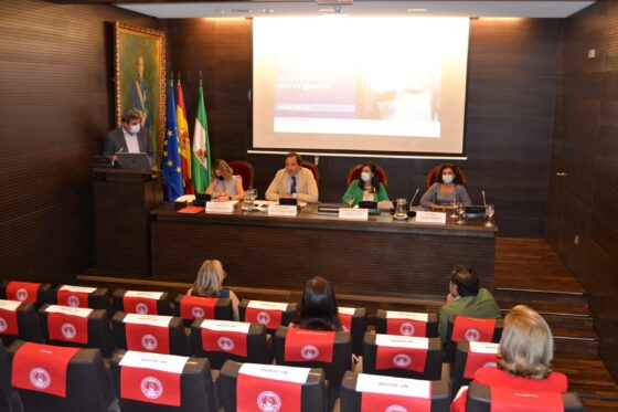 Implantar planes de Igualdad en las empresas