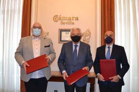 Situar a Sevilla como referente gastronómico