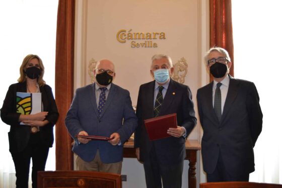 Colaboración con el sector de la Aceituna de Mesa