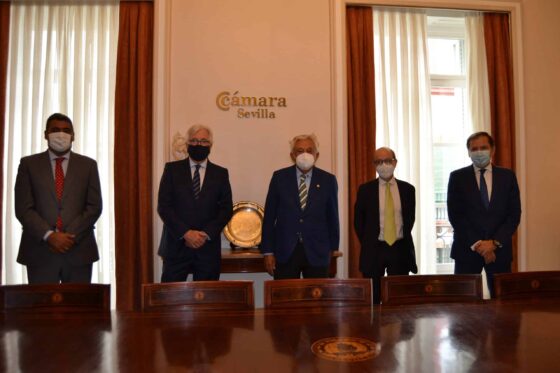 Servicios de asesoramiento en materia de derecho digital