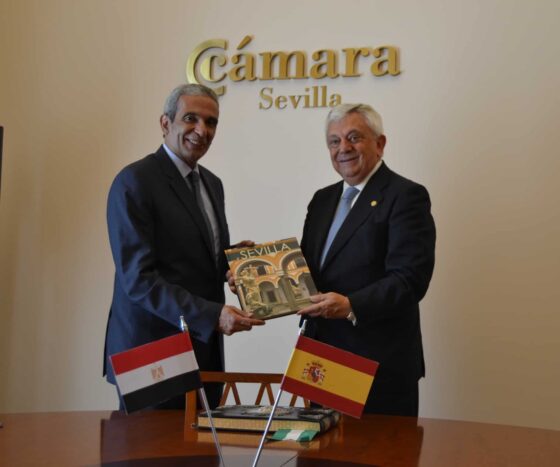 Empresas de Sevilla buscan oportunidades de negocio en Egipto