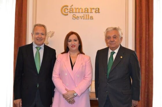 Los empresarios de la Cámara de Comercio reclaman a la Junta la ejecución de las inversiones en Infraestructuras presupuestadas para Andalucía