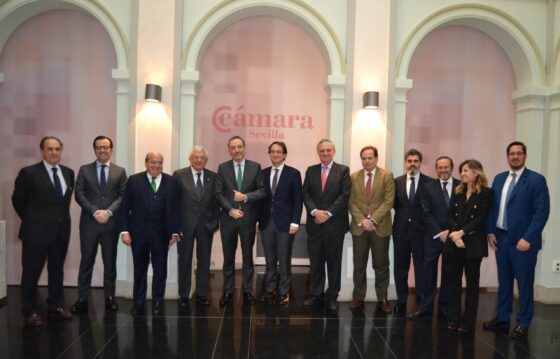 La responsabilidad de las empresas en materia tributaria