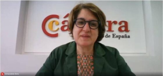 Pymes sostenibles, empresas competitivas