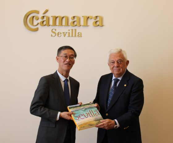 Embajador de China en España en la Cámara de Comercio