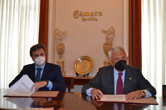 Digitalización del Comercio de Proximidad