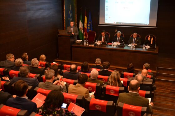 Apoyo a la conexión Andalucía-Algarve vía AVE