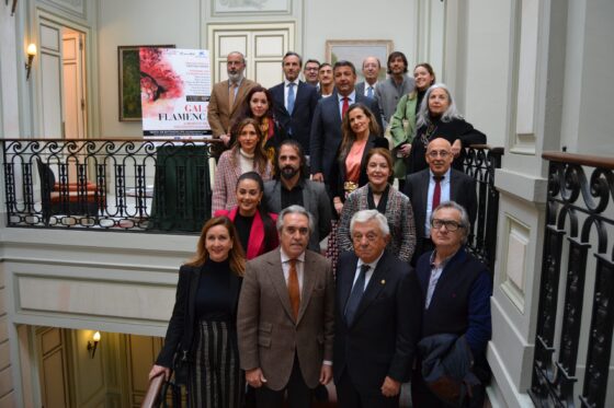 Gala flamenca a beneficio de la Asociación DalecandELA