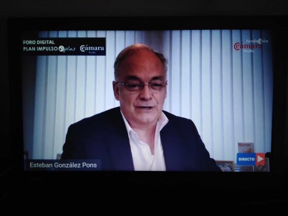 Esteban González Pons, Vicepresidente del PPE