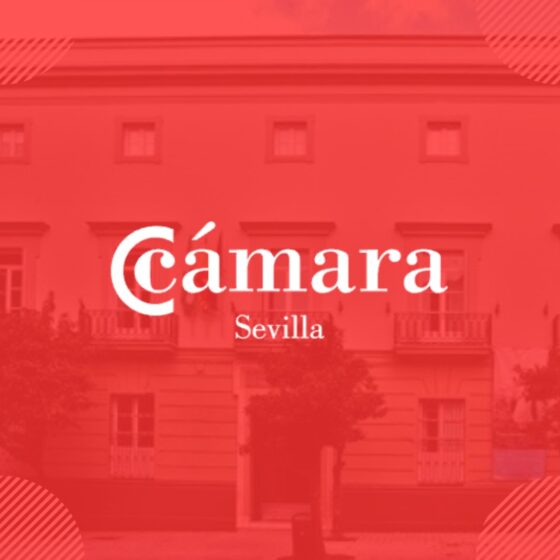 Compromiso presupuestario para el puente de la SE-40