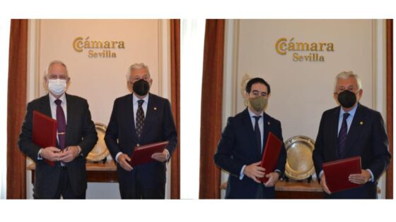 Apoyo a las empresas del sector turismo  