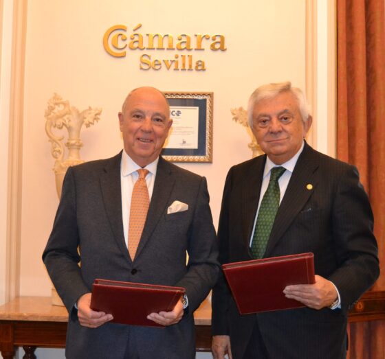 Impulso a las Comunidades Energéticas Locales