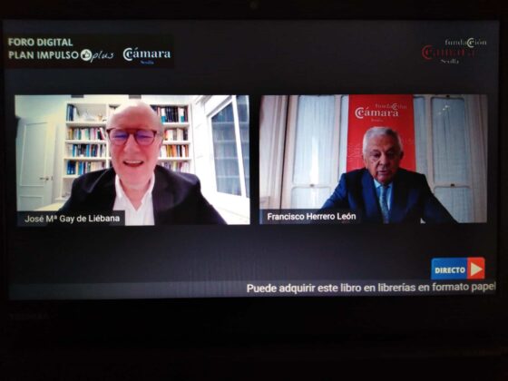 REVOLUCIÓN TECNOLÓGICA Y NUEVA ECONOMÍA, Gay de Liébana