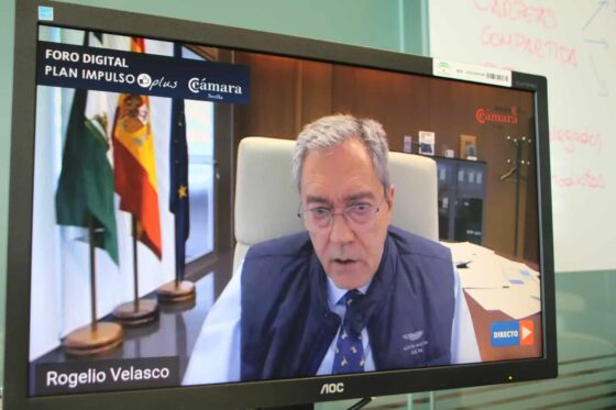 El Consejero de Economía participa en Webinar de la Cámara