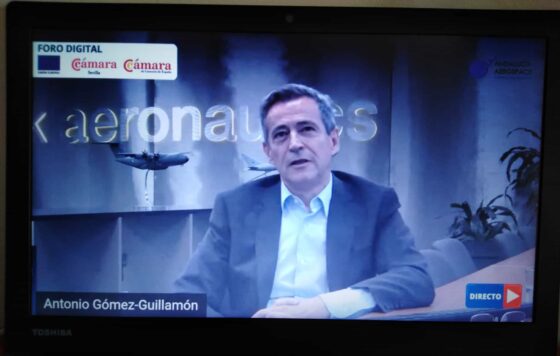 Visión del Sector Aeronáutico tras la crisis