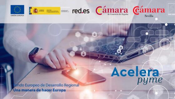 La Cámara lanza el PROGRAMA ACELERA PYME