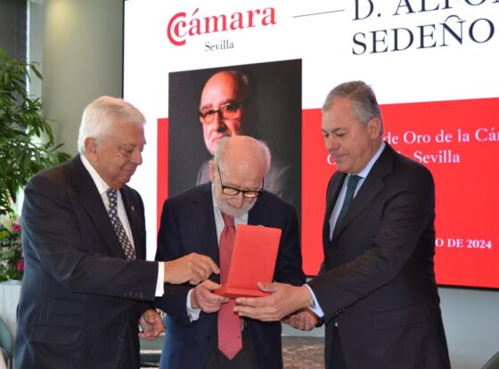 Medalla de Oro de la Cámara para Alfonso Sedeño Masot