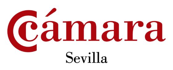 Formación para la inserción laboral en el comercio  