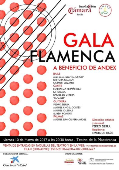 La Fundación Cámara celebrará el 10 de Marzo, una Gala Flamenca a Beneficio de Andex en el Teatro de la Maestranza