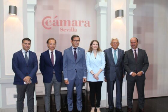 Industria sitúa la aviación sostenible y el espacio como desafíos para el sector aeroespacial y de defensa