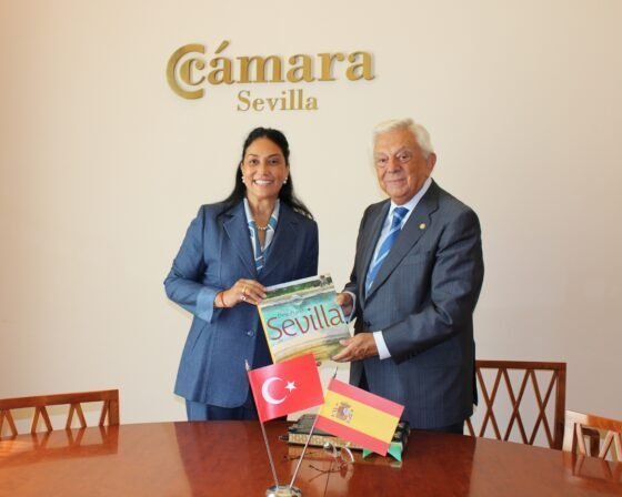 Turquía ofrece a los empresarios sevillanos oportunidades de negocio en diversos sectores con los que poder acceder a terceros países como Ucrania, Gaza y países del continente africano
