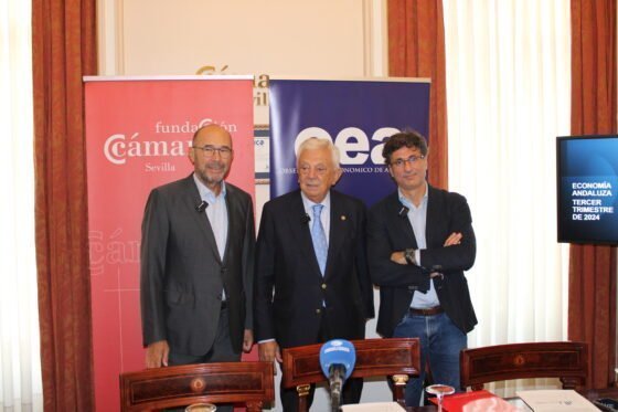 Informe «Economía Andaluza. Tercer Trimestre de 2024»