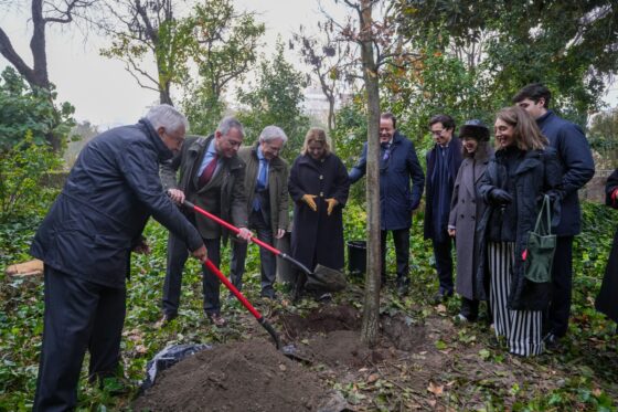 Plantación de un roble por el 70 aniversario del Grupo Casa Robles