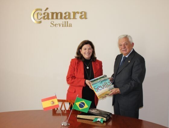 Brasil, una oportunidad para abrirse camino en Iberoamérica