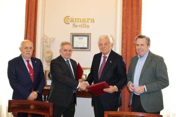 La Fundación Cámara colabora con el programa de apadrinamiento de escolares de la Hermandad de la Divina Pastora de Nuestras Almas 