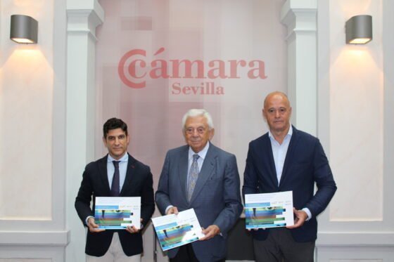 Informe `Perspectivas de los alumnos de enseñanzas medias de Sevilla sobre la empleabilidad futura y mercado de trabajo´