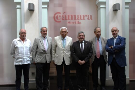 El Observatorio de Infraestructuras de Sevilla analiza la situación de las 10 grandes obras que la provincia necesita