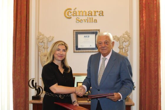 La Cámara de Sevilla y la Cámara Hispano-Turca facilitarán las relaciones comerciales entre empresas