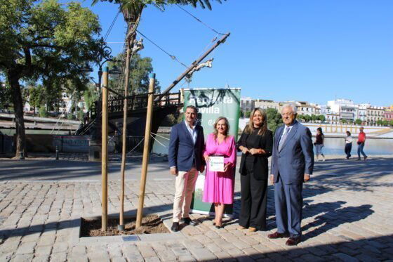 La Cámara y el Ayuntamiento inician la colocación de placas en reconocimiento a las empresas de Replanta Sevilla