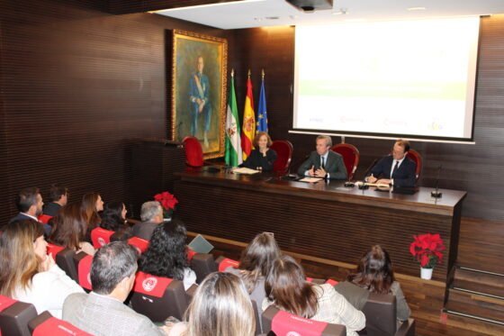 La Cámara de Sevilla reafirma su compromiso con la sostenibilidad empresarial en una jornada organizada junto a Cámara España y Fundación ICO