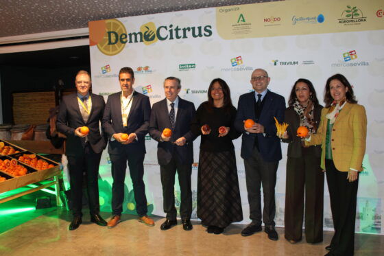 Sevilla acoge la ‘Semana de la Naranja’ y reúne a más de 450 profesionales del sector de los cítricos