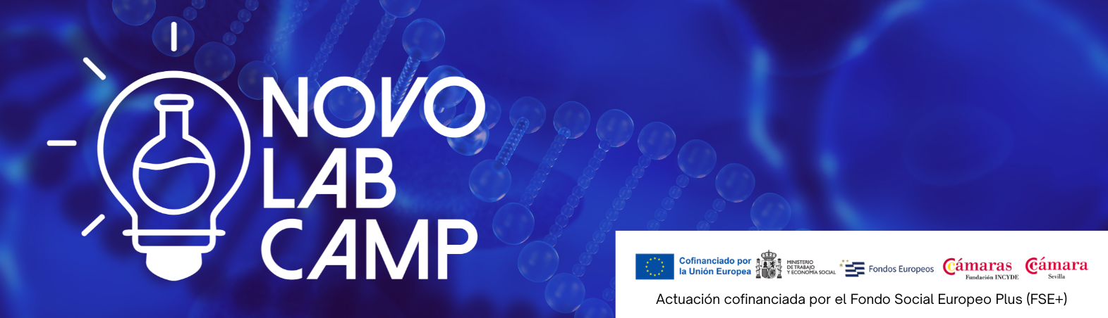 banner novolab