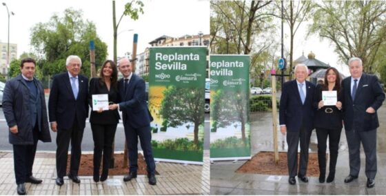 El Ayuntamiento y la Fundación Cámara de Comercio reconocen a Grupo Martín Casillas y Grupo Integra por su aportación al proyecto Replanta Sevilla