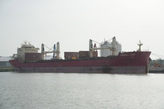 El Puerto de Sevilla recibe uno de los buques de mayor eslora de su historia