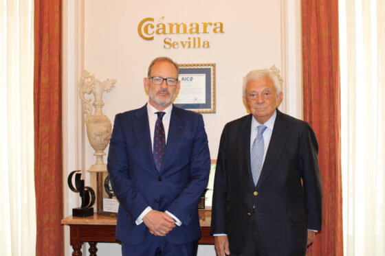 La Cámara de Sevilla y Cesce analizan la importancia estratégica del acuerdo de la Unión Europea y Mercosur